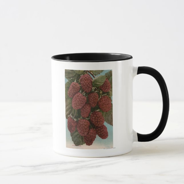 Fruit Chromo Lithograph of LoganberriesState Mug (Right)