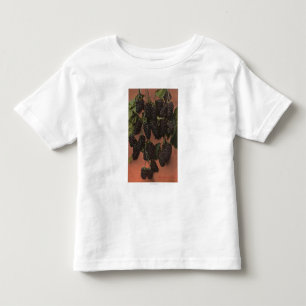 Fruit Chromo Lithograph of Mammoth Toddler T-Shirt