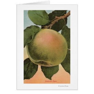 Fruit Chromo Lithograph of Newtown Pippen