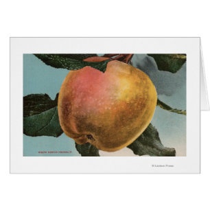 Fruit Chromo Lithograph of White Winter Pearmain
