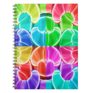 Fruit Colours Notebook