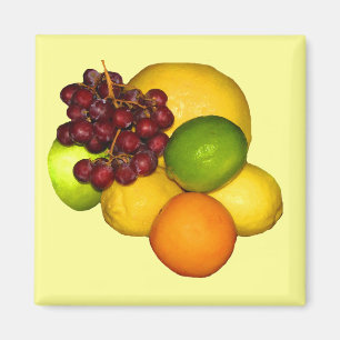 Fruit Design Magnet