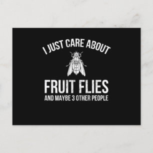 Fruit Flies Design I Just Care About Fruit Flies Postcard