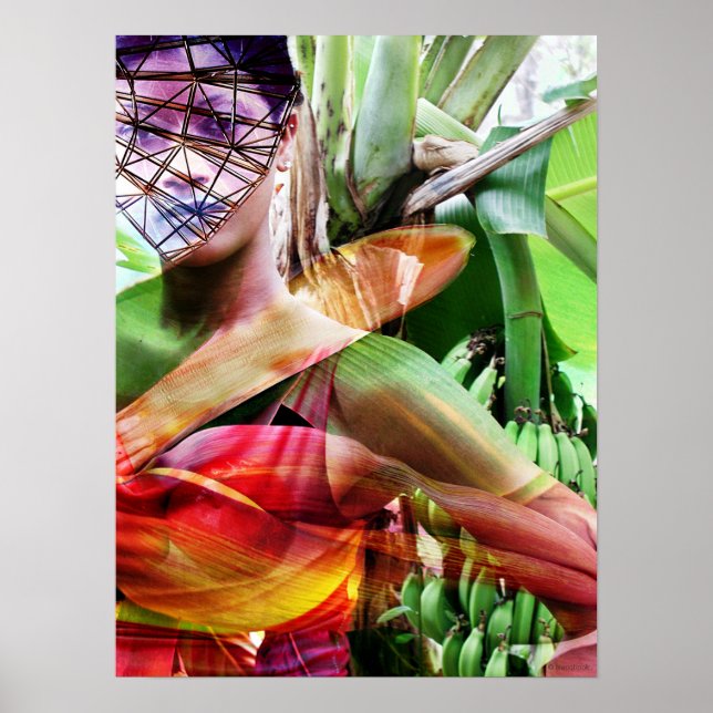 fruit flight fruit land poster (Front)