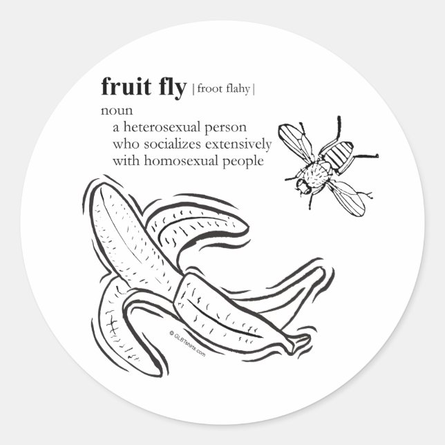 FRUIT FLY CLASSIC ROUND STICKER (Front)