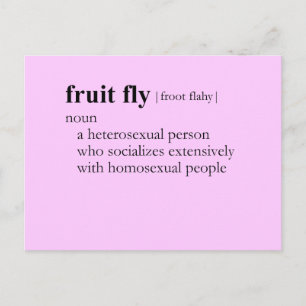 FRUIT FLY (definition) Postcard