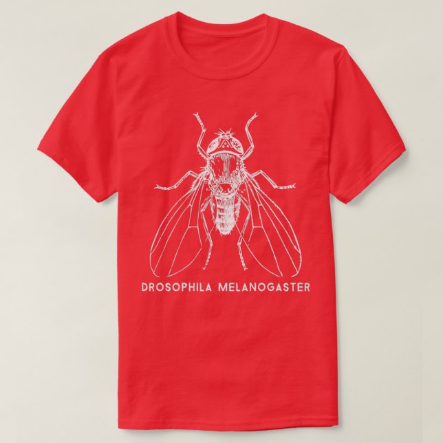 Fruit Fly Drosophila Melanogaster for Gene Researc T-Shirt (Design Front)