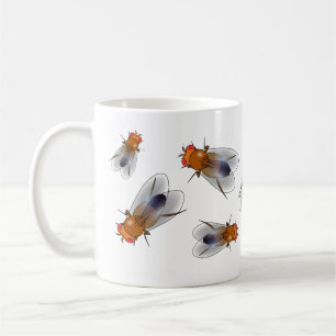Fruit fly - Drosophila melanogaster mug