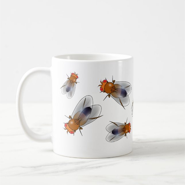 Fruit fly - Drosophila melanogaster mug (Left)