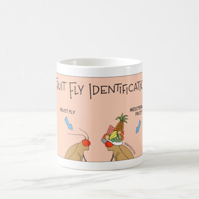 Fruit Fly Identification Coffee Mug (Center)