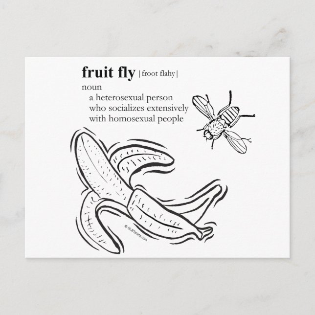 FRUIT FLY POSTCARD (Front)