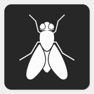Fruit Fly Square Sticker