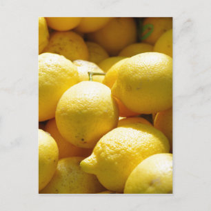 Fruit: Lemons Postcard