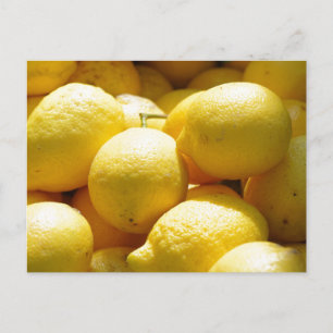 Fruit: Lemons Postcard
