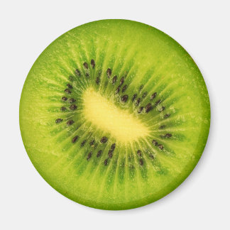Fruit Magnet Series -Kiwi-