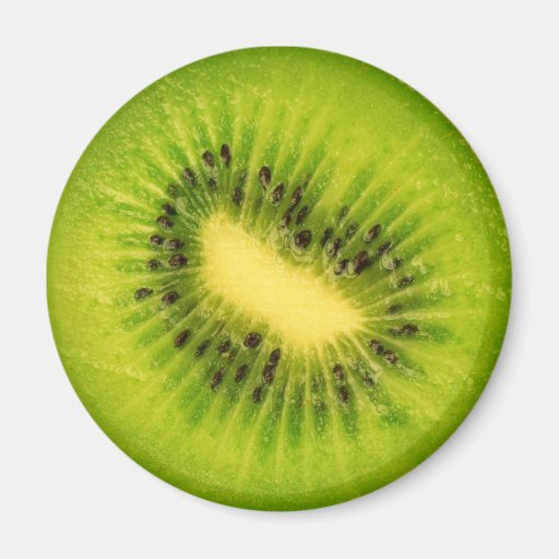Image of Fruit Magnet Series -Kiwi-