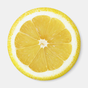 Fruit Magnet Series -Lemon-