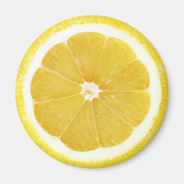 Fruit Magnet Series -Lemon- (Front)
