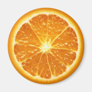Fruit Magnet Series -Orange-