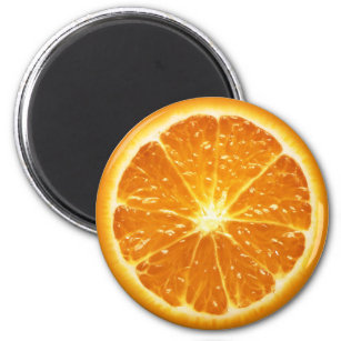 Fruit Magnet Series -Orange-