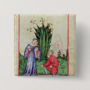 Fruit of Mandrake, from' Tacuinum Sanitatis' 15 Cm Square Badge