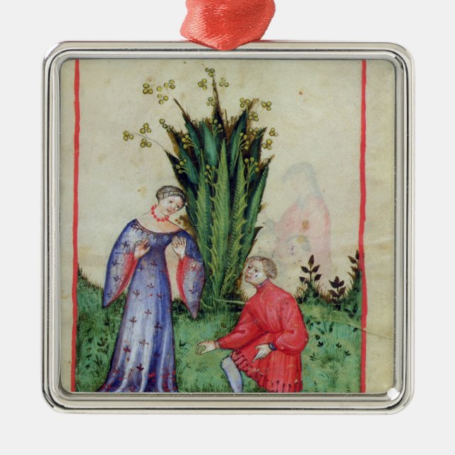 Fruit of Mandrake, from' Tacuinum Sanitatis' Metal Tree Decoration (Front)