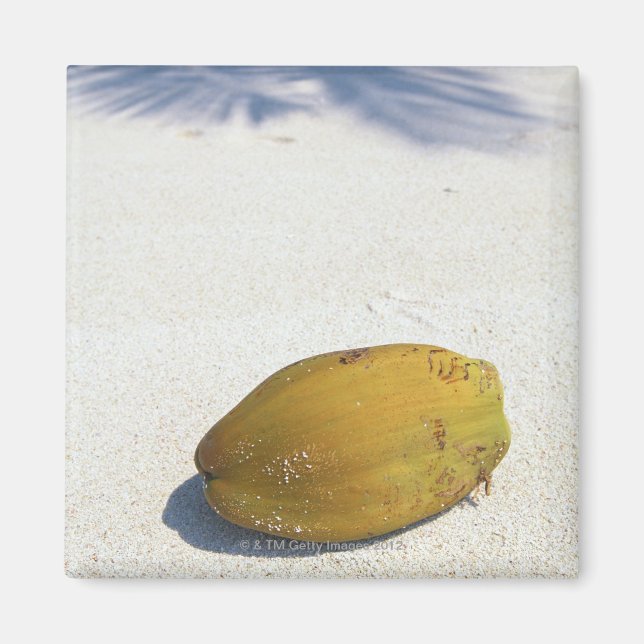 Fruit of Palm Magnet (Front)