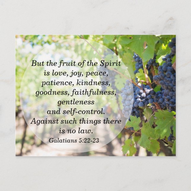 Fruit of the Spirit Bible Memory Verse Postcard (Front)