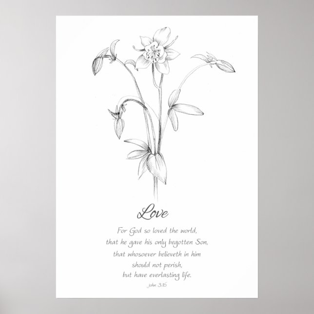 Fruit of the Spirit John 3:16 Love Scripture Bible Poster (Front)