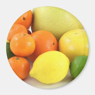 Fruit, Orange, Lemon and Melon Refrigerator Magnet