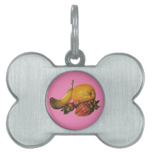 Fruit Pet Tags