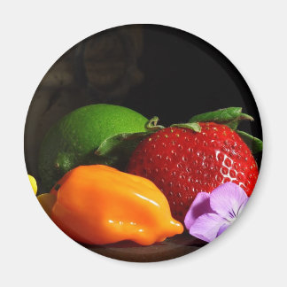 fruit-still-life magnet