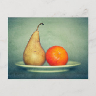 Fruit Study Postcard