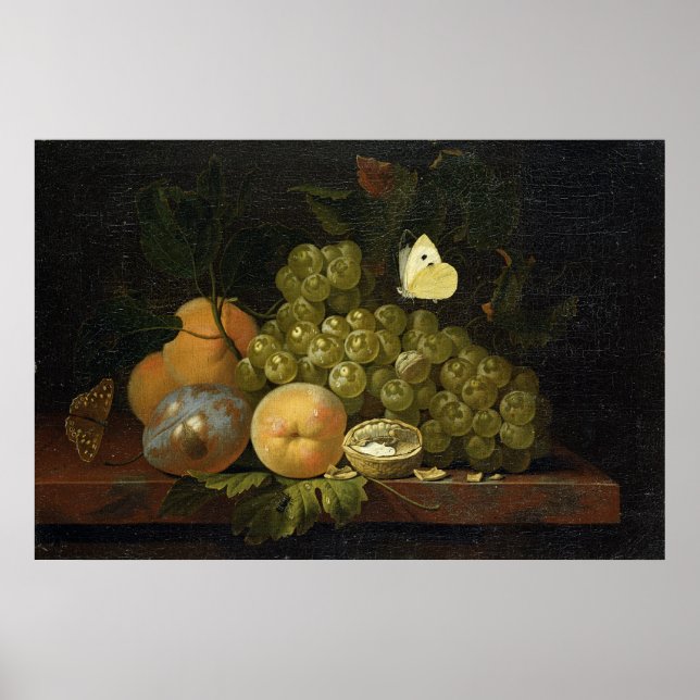 Fruit Study Poster (Front)