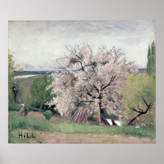 Fruit Tree in Blossom, Bois-le-Roi Poster (Front)