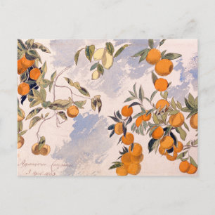Fruit Trees - Edward Lear Holiday Postcard