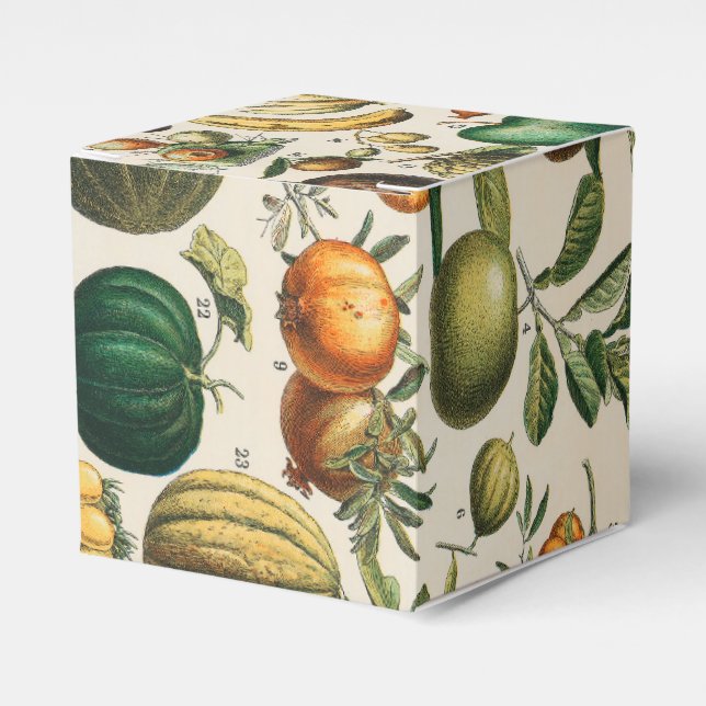 Fruit Vegetable Botanical Scientific Illustration Favour Box (Front Side)