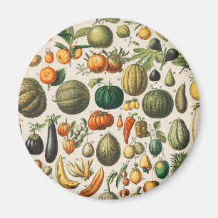 Fruit Vegetable Botanical Scientific Illustration Magnet
