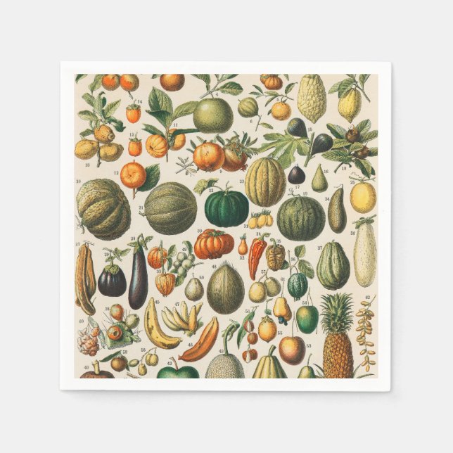 Fruit Vegetable Botanical Scientific Illustration Napkin (Front)