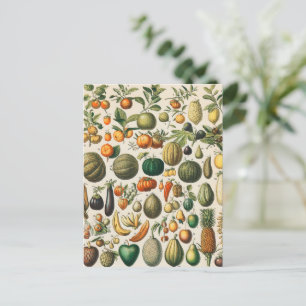 Fruit Vegetable Botanical Scientific Illustration Postcard