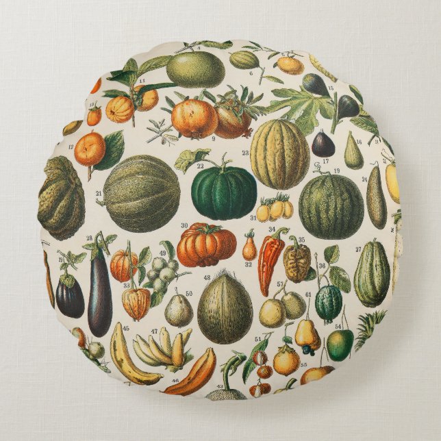 Fruit Vegetable Botanical Scientific Illustration Round Cushion (Front)