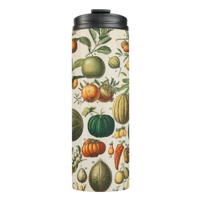 Fruit Vegetable Botanical Scientific Illustration Thermal Tumbler (Front)