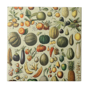 Fruit Vegetable Botanical Scientific Illustration Tile