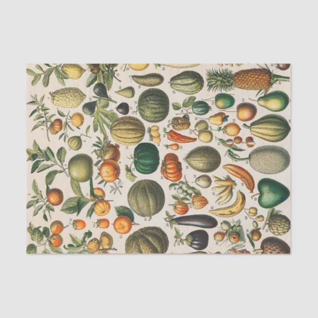 Fruit Vegetable Botanical Scientific Illustration Tissue Paper (Front)