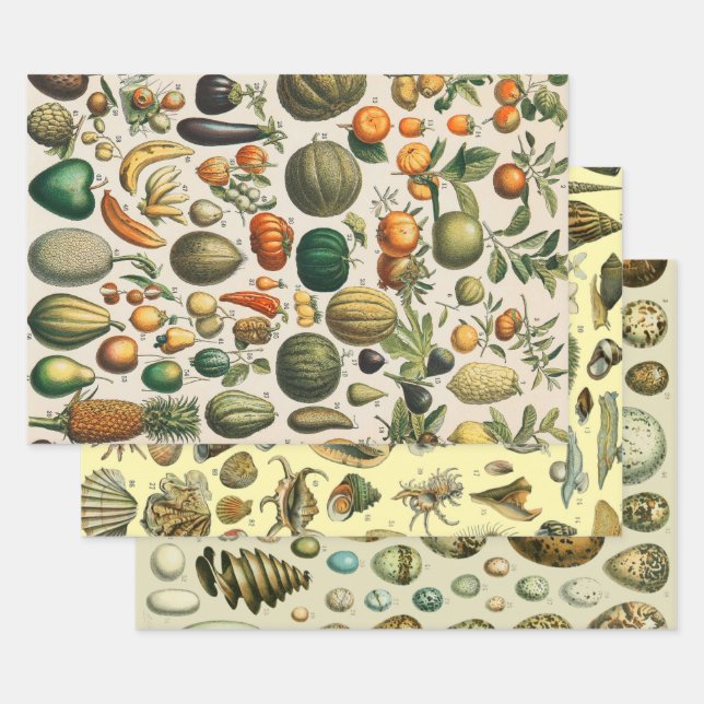 Fruit Vegetable Botanical Scientific Illustration Wrapping Paper Sheet (Set)