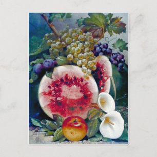 Fruit Watermelon Grape Apple Still life Postcard