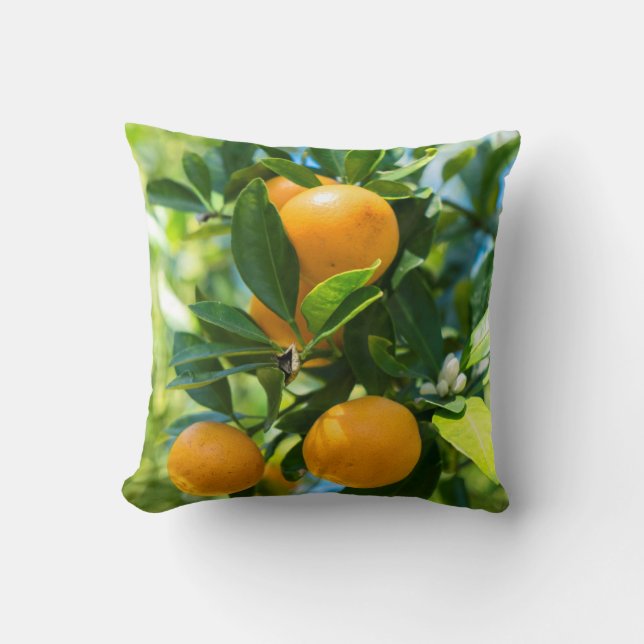 Fruiting Orange Tree Cushion (Front)