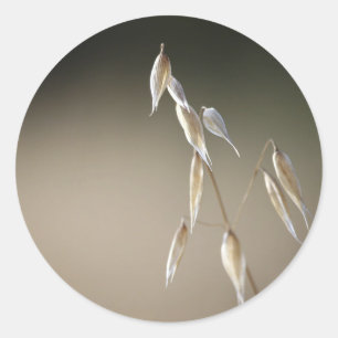 Fruiting Wild Oat envelope sealer Classic Round Sticker