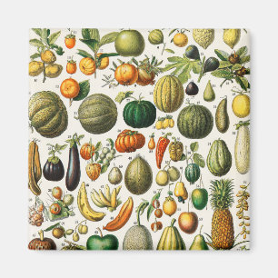 Fruits and Vegetables Magnet