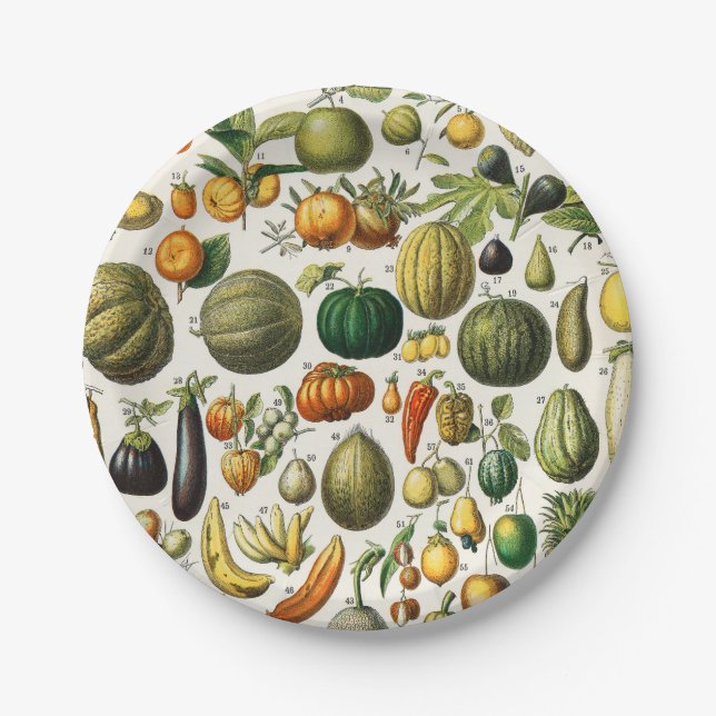Fruits and Vegetables Paper Plate (Front)